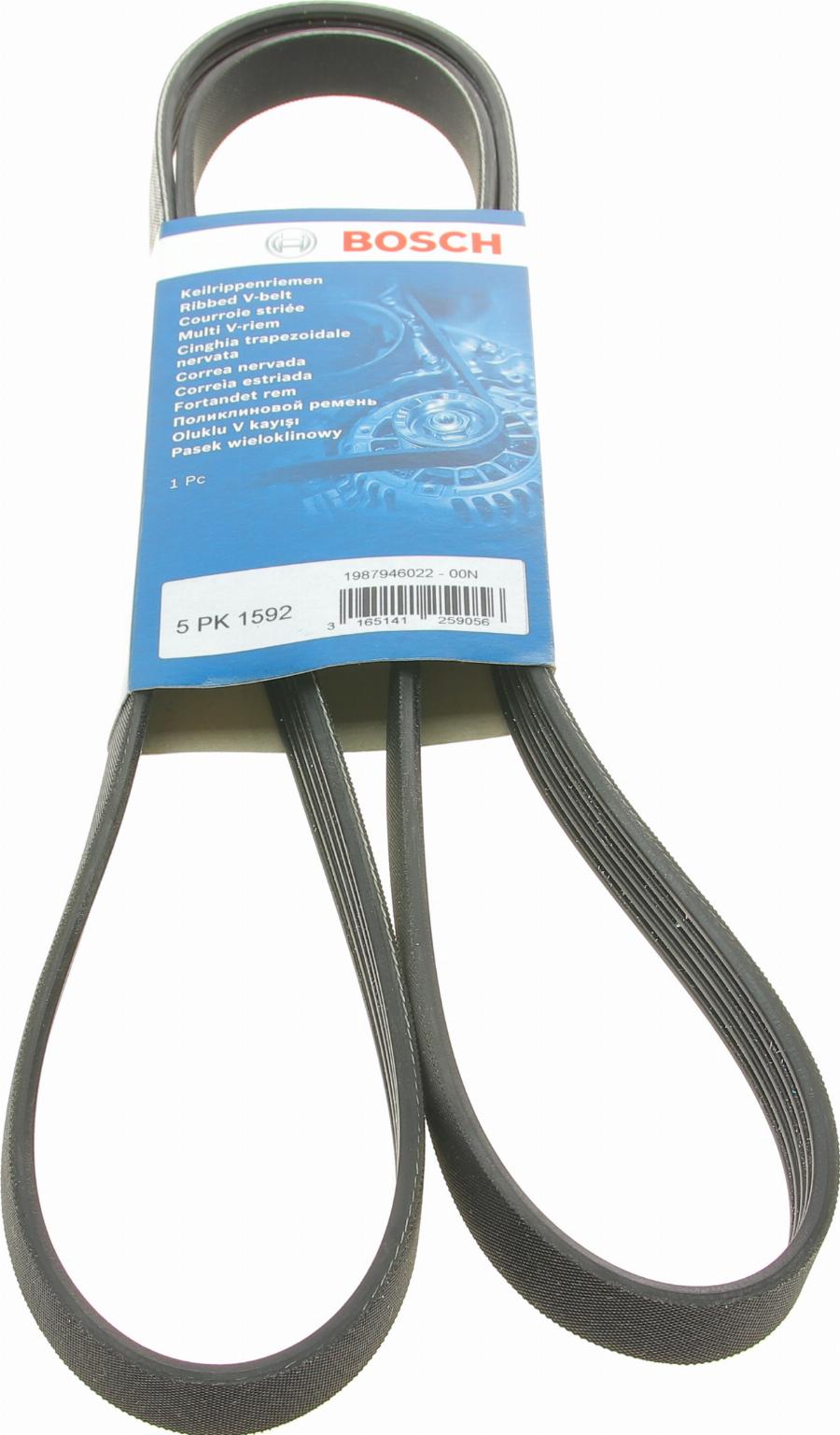 BOSCH 1 987 946 022 - Cinghia Poly-V www.autoricambi360.it