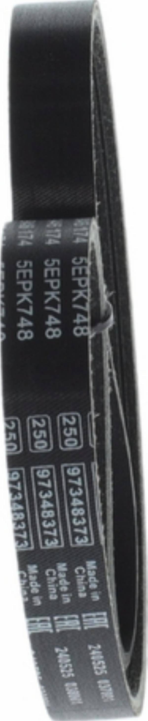 BOSCH 1 987 946 174 - Cinghia Poly-V www.autoricambi360.it
