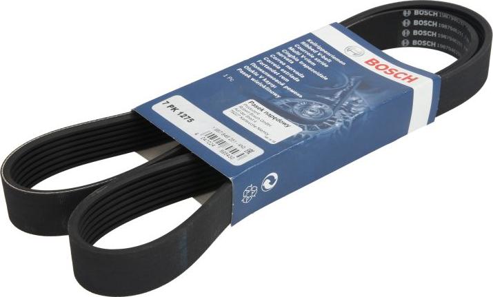BOSCH 1 987 946 251 - Cinghia Poly-V www.autoricambi360.it