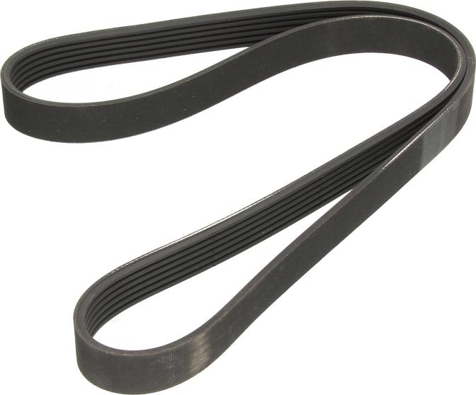 BOSCH 1 987 948 381 - Cinghia Poly-V www.autoricambi360.it