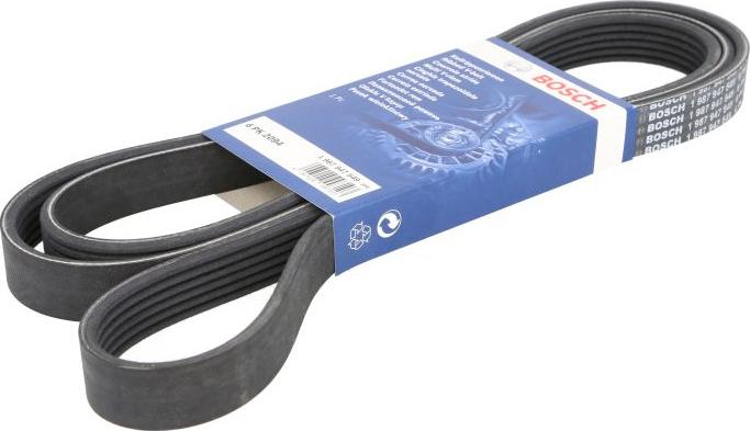 BOSCH 1 987 947 549 - Cinghia Poly-V www.autoricambi360.it
