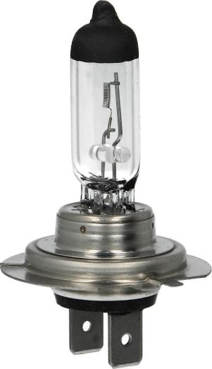 BOSCH 1 987 302 079 - Lampadina, Faro di profondità www.autoricambi360.it