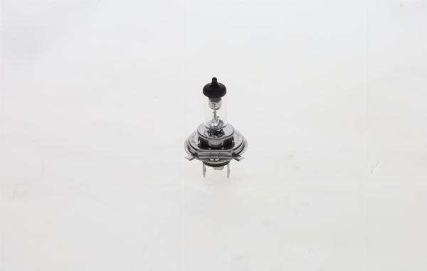 BOSCH F 002 H10 019 - Lampadina, Faro principale www.autoricambi360.it