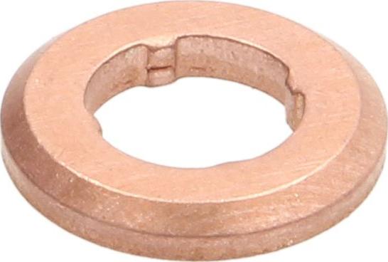 BOSCH F 00V P01 009 - Guarnizione, Portapolverizzatore www.autoricambi360.it