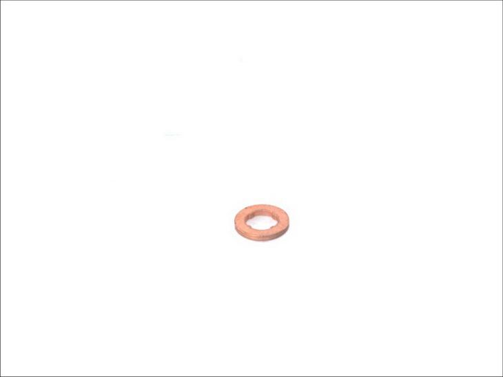 BOSCH F 00V P01 004 - Guarnizione, Portapolverizzatore www.autoricambi360.it
