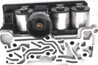 BOSCH F 026 001 010 - Centralina, Carburatore www.autoricambi360.it