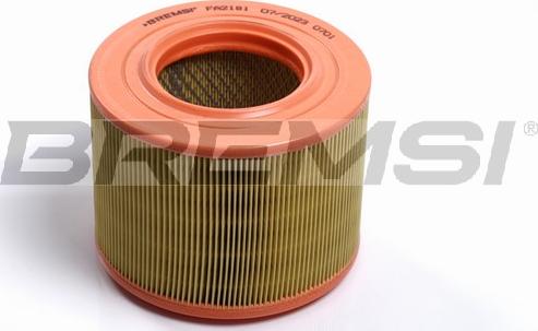 Bremsi FA2181 - Filtro aria www.autoricambi360.it