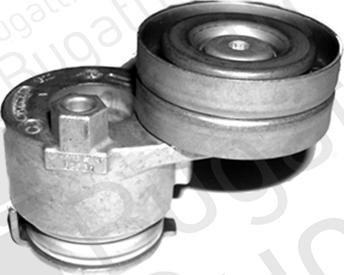 BUGATTI BTOA3795 - Tendicinghia, Cinghia Poly-V www.autoricambi360.it