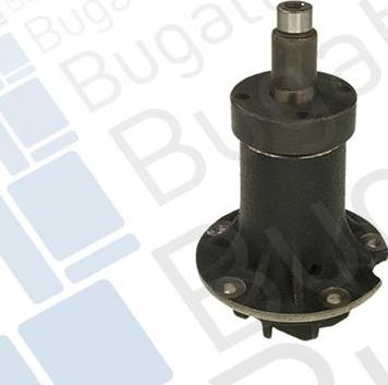 BUGATTI PA0138 - Pompa acqua www.autoricambi360.it