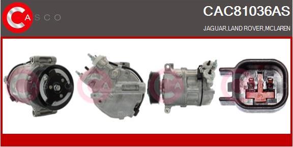 Casco CAC81036AS - Compressore, Climatizzatore www.autoricambi360.it