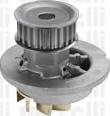 Cifam 824-1061 - Pompa acqua www.autoricambi360.it
