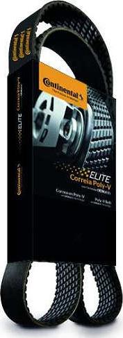Continental 6PK1545 - Cinghia Poly-V www.autoricambi360.it