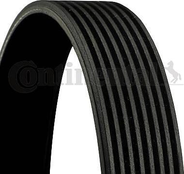 CONTINENTAL 8PK1535 - Cinghia Poly-V www.autoricambi360.it