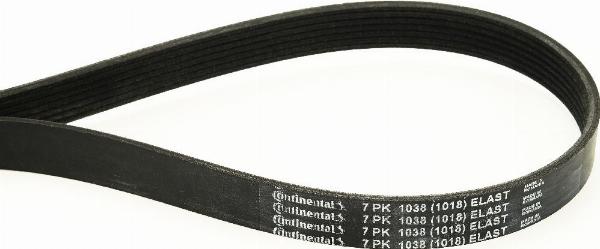 CONTINENTAL 7PK1038 ELAST - Cinghia Poly-V www.autoricambi360.it