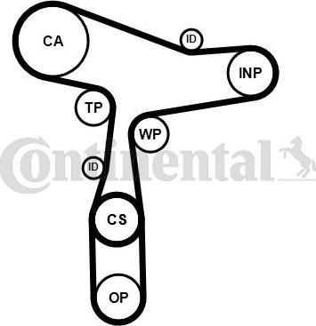 CONTINENTAL CT 1168 WP8 PRO - Pompa acqua + Kit cinghie dentate www.autoricambi360.it