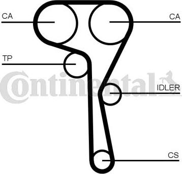 CONTINENTAL CT1167K8 - Kit cinghie dentate www.autoricambi360.it
