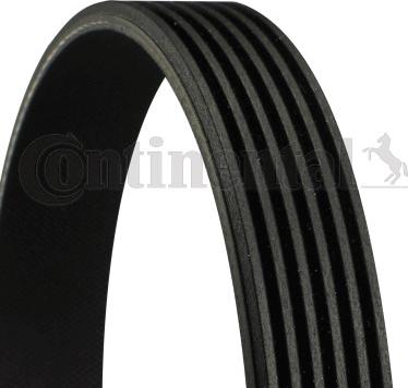 Continental 6PK1450 - Cinghia Poly-V www.autoricambi360.it