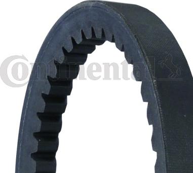 CONTINENTAL AVX15X1125 - Cinghia trapezoidale www.autoricambi360.it
