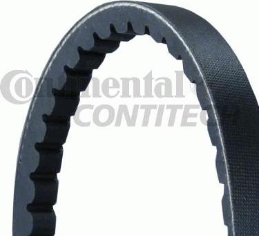 Continental AVX13X1090 - Cinghia trapezoidale www.autoricambi360.it