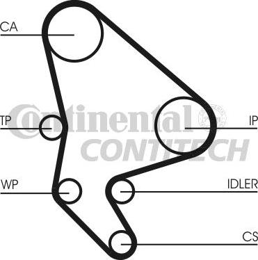 CONTINENTAL CT987K1 - Kit cinghie dentate www.autoricambi360.it