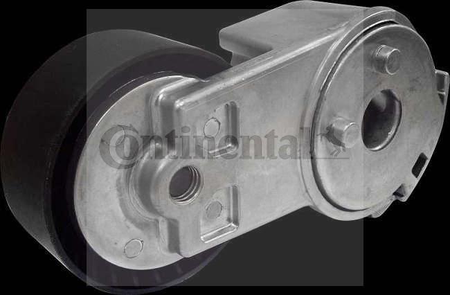 Continental V55462 - Galoppino / Guidacinghia, Cinghia Poly-V www.autoricambi360.it