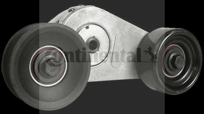 Continental V55791 - Galoppino / Guidacinghia, Cinghia Poly-V www.autoricambi360.it