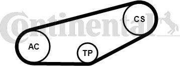 Continental 4PK855K1 - Kit Cinghie Poly-V www.autoricambi360.it