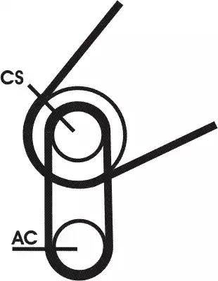 Continental 5PK716 ELAST T1 - Kit Cinghie Poly-V www.autoricambi360.it