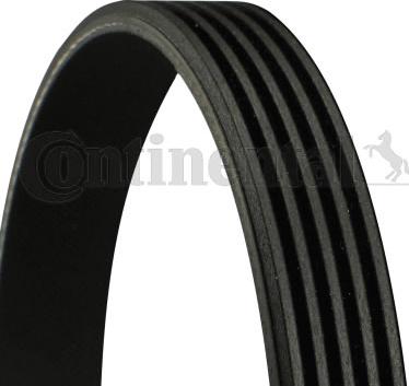 Continental 5PK835 - Cinghia Poly-V www.autoricambi360.it