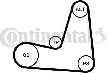 CONTINENTAL 5PK1135K1 - Kit Cinghie Poly-V www.autoricambi360.it