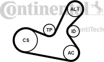 CONTINENTAL 5PK1300K1 - Kit Cinghie Poly-V www.autoricambi360.it