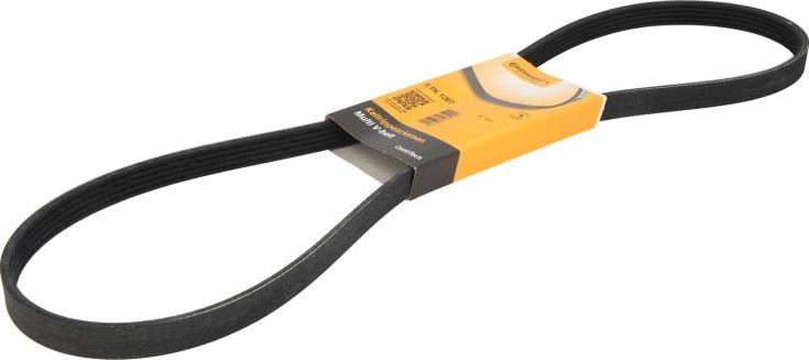 Continental 5PK1207 - Cinghia Poly-V www.autoricambi360.it