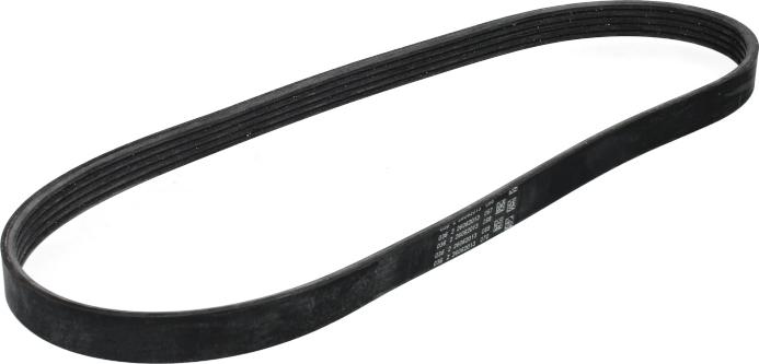 CONTINENTAL 5 PK 898 ELAST - Cinghia Poly-V www.autoricambi360.it