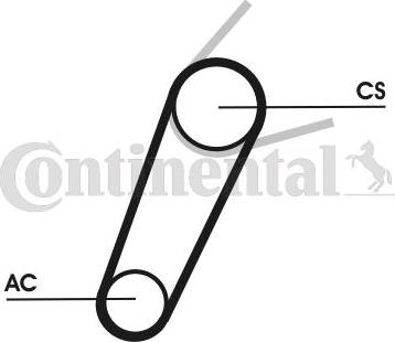 CONTINENTAL 5PK711 ELAST T1 - Kit Cinghie Poly-V www.autoricambi360.it