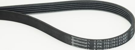 CONTINENTAL 5PK775 ELAST - Cinghia Poly-V www.autoricambi360.it