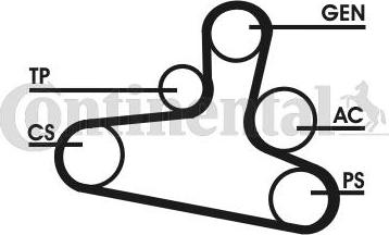 CONTINENTAL 6DPK1195D1 - Kit Cinghie Poly-V www.autoricambi360.it