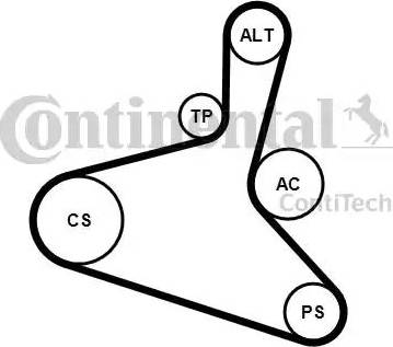 CONTINENTAL 6 DPK 1195 K1 - Kit Cinghie Poly-V www.autoricambi360.it