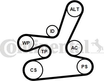 Continental 6DPK1817WP1 - Pompa acqua + Kit cinghia Poly V www.autoricambi360.it
