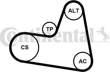 CONTINENTAL 6PK962K1 - Kit Cinghie Poly-V www.autoricambi360.it