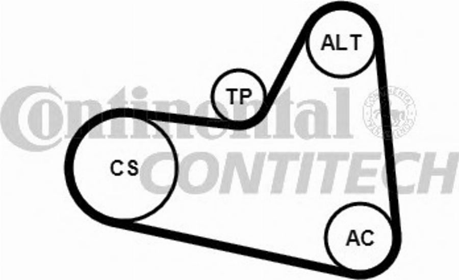 CONTINENTAL 6PK976K2 - Kit Cinghie Poly-V www.autoricambi360.it
