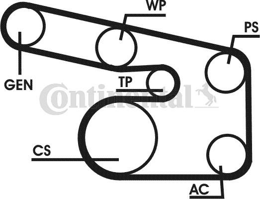 CONTINENTAL 6PK1900D1 - Kit Cinghie Poly-V www.autoricambi360.it