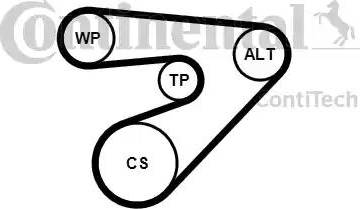 Continental 6PK1453K2 - Kit Cinghie Poly-V www.autoricambi360.it
