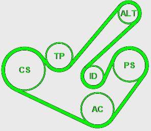 Continental 6PK1555K9 - Kit Cinghie Poly-V www.autoricambi360.it