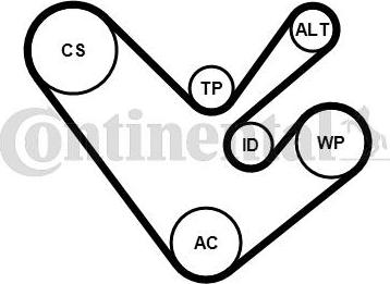 Continental 6PK1555K4 - Kit Cinghie Poly-V www.autoricambi360.it