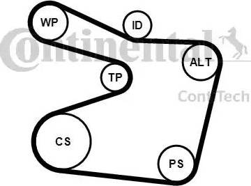 Continental 6PK1555K1 - Kit Cinghie Poly-V www.autoricambi360.it