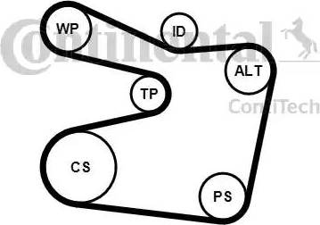 Continental 6PK1555K2 - Kit Cinghie Poly-V www.autoricambi360.it
