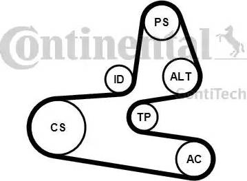 CONTINENTAL 6PK1564K1 - Kit Cinghie Poly-V www.autoricambi360.it