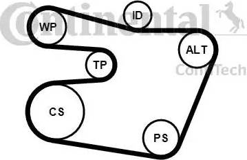 Continental 6PK1538K1 - Kit Cinghie Poly-V www.autoricambi360.it