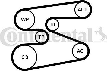 Continental 6 PK 1698 K1 - Kit Cinghie Poly-V www.autoricambi360.it