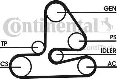 CONTINENTAL 6PK1613D1 - Kit Cinghie Poly-V www.autoricambi360.it